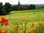 Filename=Church_poppies-1.jpg
Filesize=205KiB
Dimensions=800x600
Date added=Jul 19, 2006 Church_poppies-1.jpg