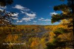 Autumn_JayCooke_001.jpg