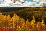 Autumn_JayCooke_003.jpg